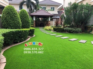 Cỏ nhân tạo 2cm loại dày