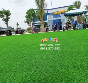 Cỏ nhân tạo 3cm giá rẻ