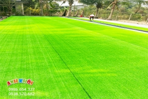 Cỏ nhân tạo 1cm xanh non loại dày