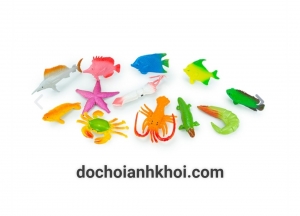 Bộ sinh vật biển 