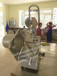 Máy xay rau củ quả 